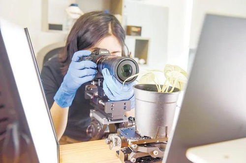 來(lái),帶你看一看 看不見(jiàn) 的科學(xué)之美