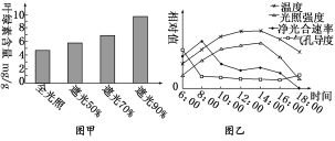 長郡暑假作業 作業11 光合作用的過程及影響因素 二