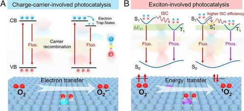 光合作用竟然發(fā)生在短短的億萬(wàn)分之一秒,蘊(yùn)藏著深刻宇宙奧秘