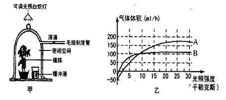 下圖為在一定條件下研究光照強度對植物光合作用的影響的變化曲線,回答下列問題 青夏教育精英家教網(wǎng)