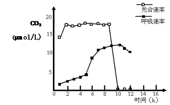 為了探究外界因素與蜜柑光合作用速率之間的關(guān)系,實驗人員在4月 6月測定了某地晴朗天氣條件下蜜柑葉片的凈光合速率 a圖 和胞間c02濃度 b圖 的變化情況 請據(jù)圖回答下列問題