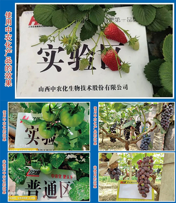 【產品推薦】改良土壤、預防病害,就選硅鈣鎂中微肥系列