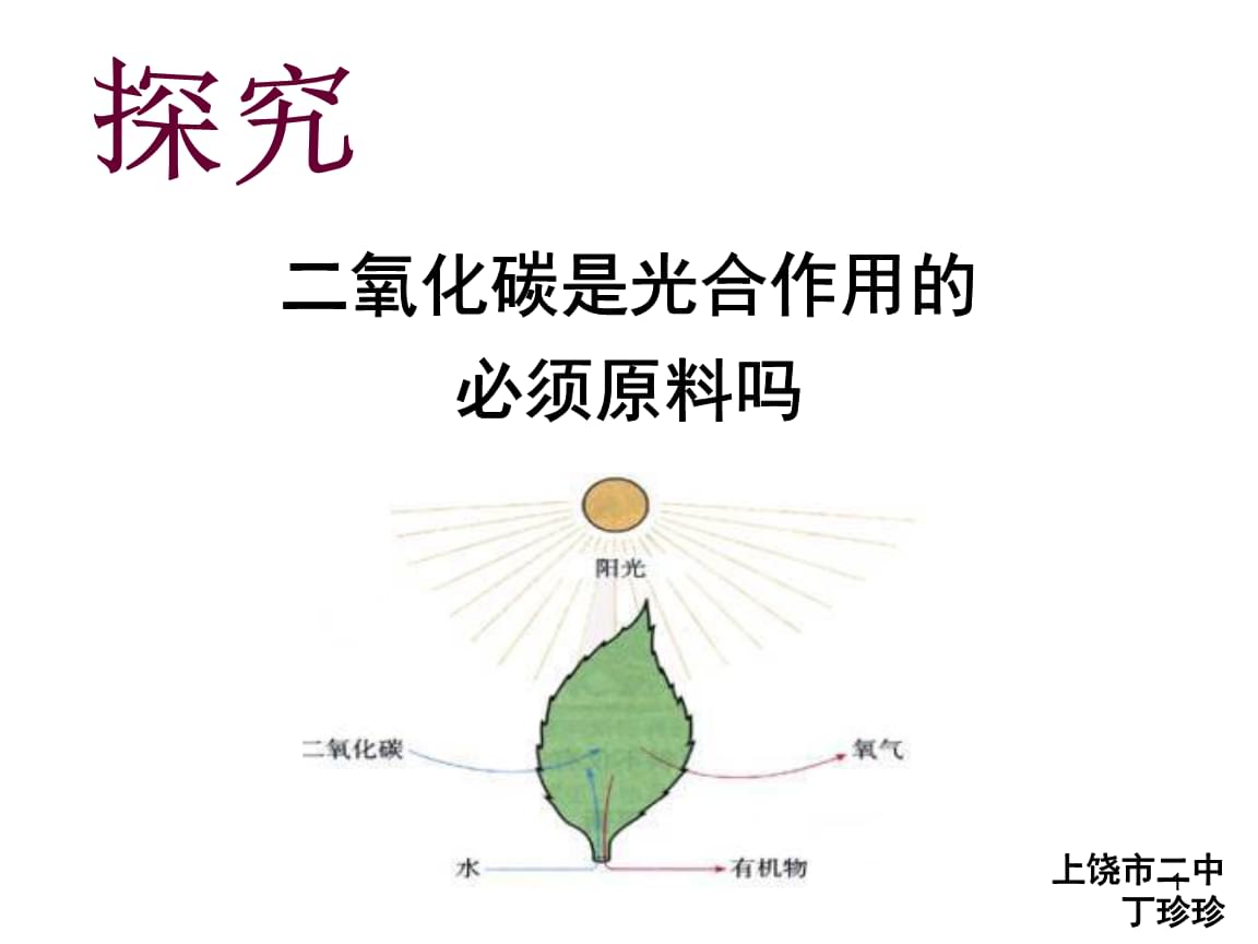 初中生物創新實驗說課.ppt