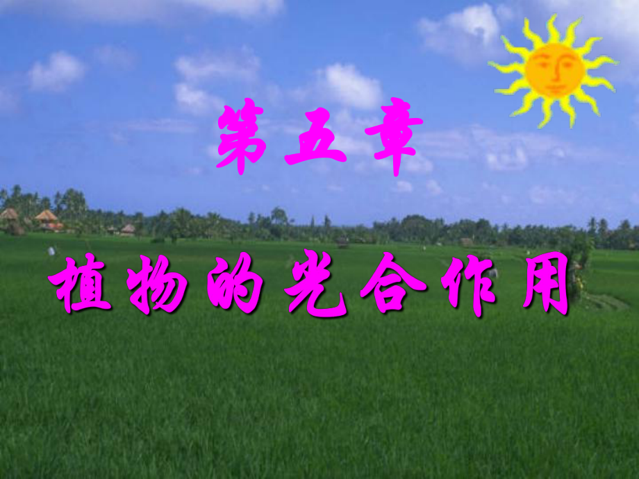 第五章 光合作用 植物的能量轉(zhuǎn)換與生命基石