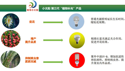 聚焦反季高效栽培，科技賦能海南火龍果產(chǎn)業(yè)——2020海南火龍果反季節(jié)種植管理研討會圓滿舉行